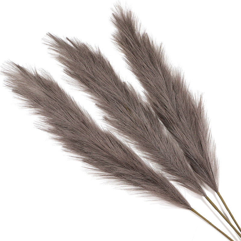 Natural Pampas Grass Décor – 110 cm