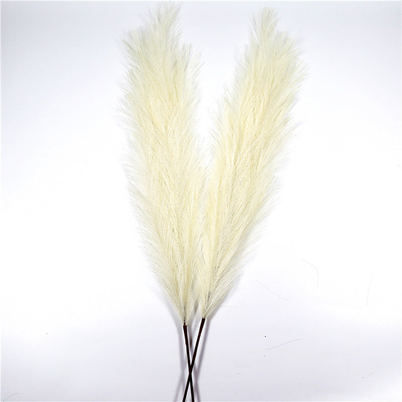 Natural Pampas Grass Décor – 110 cm
