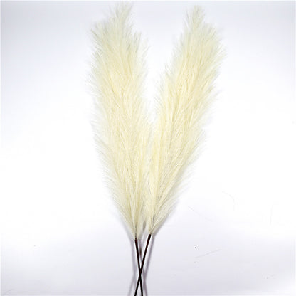 Natural Pampas Grass Décor – 110 cm